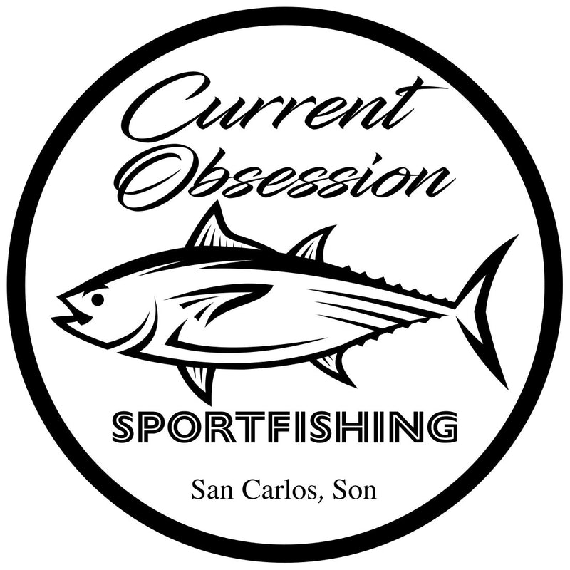 Tuna Current Obsession