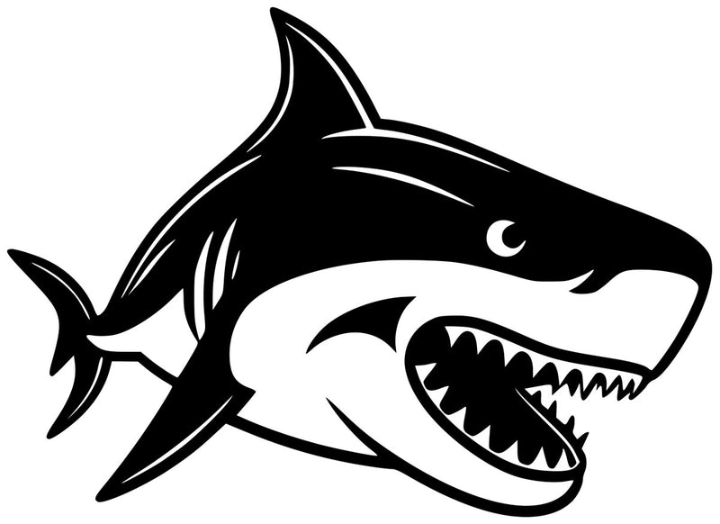Goofy Shark