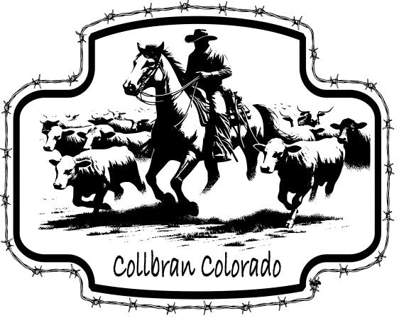 Horse Herding Cows — Collbran