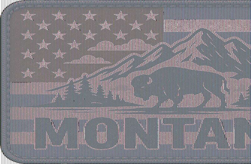 Montana Flag